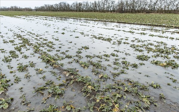 Agrometeorológia: nagy területeken, főleg az Alföldön és a Kisalföldön áll a víz földeken